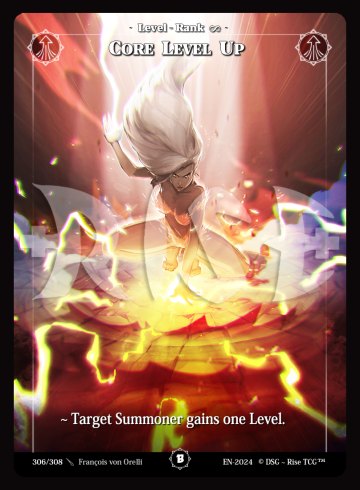 306 Level Up Rinfinite