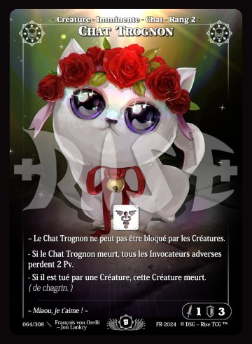 064 Cutest kitty