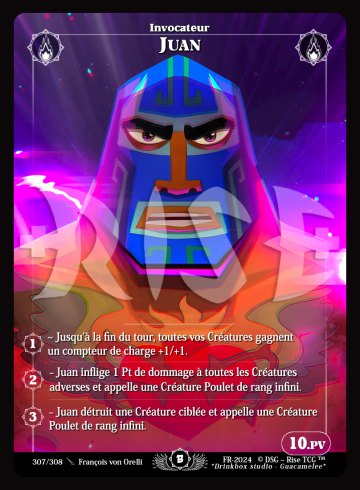 307 Juan (V2)