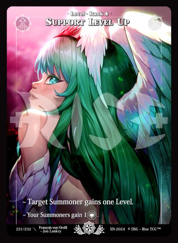 Support Level Up